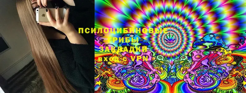 как найти наркотики  Туринск  Галлюциногенные грибы Psilocybine cubensis 